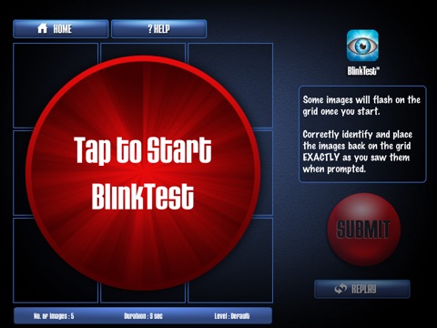 BlinkTest screenshot 2