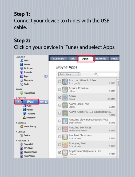 USB Flash Drive Pro for iPad