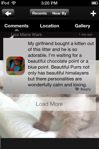 BeautifulPurrs screenshot 3