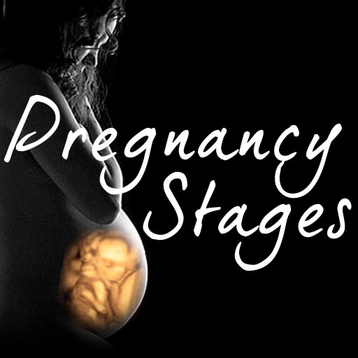 Pregnancy Stages App icon