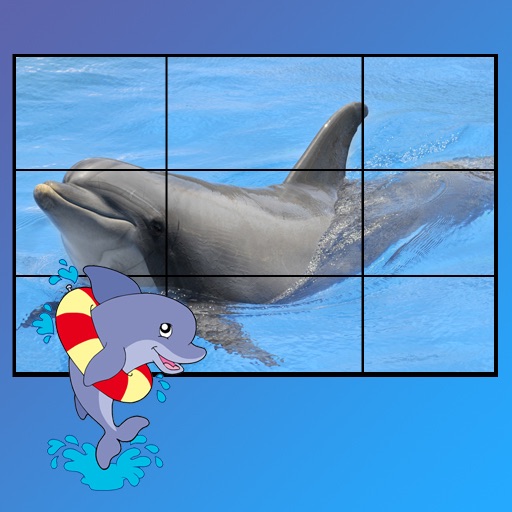 dolphins puzzle for kids icon