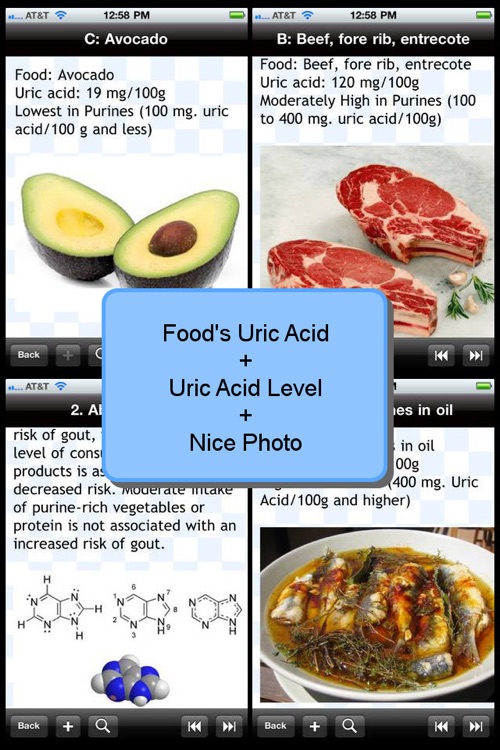 Purine and Uric Acid Food List