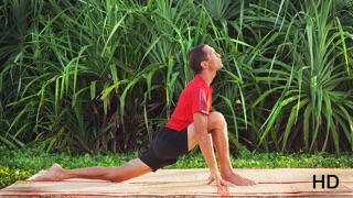 Yoga Virtuoso Free with Lyndon: Move, Stretch, Danceのおすすめ画像1