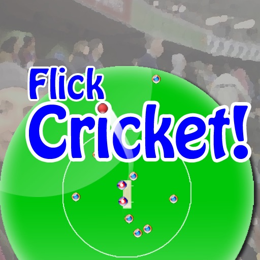 Flick Cricket Icon