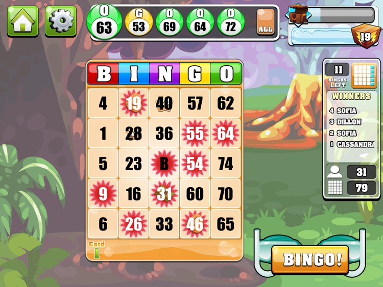 Bingo Casino HD!™