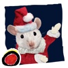 Join the busy little shoppers in this holiday story - A Very Mice Christmas, as they search for everything from woolly stockings to shiny ribbons. Activities include: Match game and Spot the Difference. By Wendy Wax. (iPhone Version; by Auryn Apps)