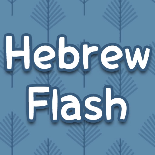 HebrewFlash icon