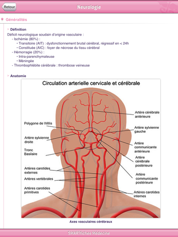 SMARTfiches Neurologie HD Free screenshot 4