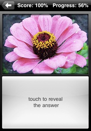 Flower Flip: Flashcards of Exotic & Garden Flowers screenshot 4