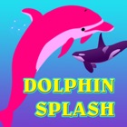 Dolphin Splash