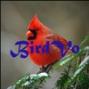 Birds Sounds App ~ BirdVo ~ Bird Voices