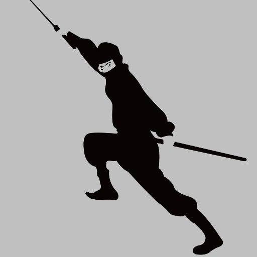 Virtual Ninja icon