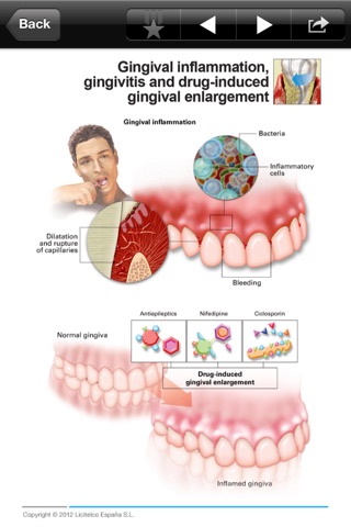 Dentistry Mini Atlas screenshot 3