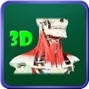 3D Human Neck Muscle_HD