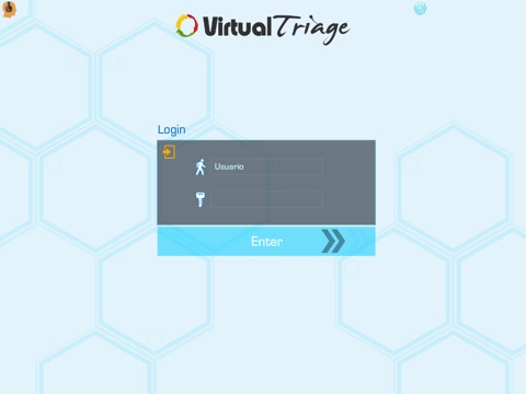 VirtualTriage START screenshot 4