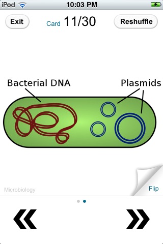 Biology Flashcards screenshot 2