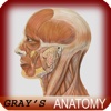 Atlas of Human Anatomy for iPad