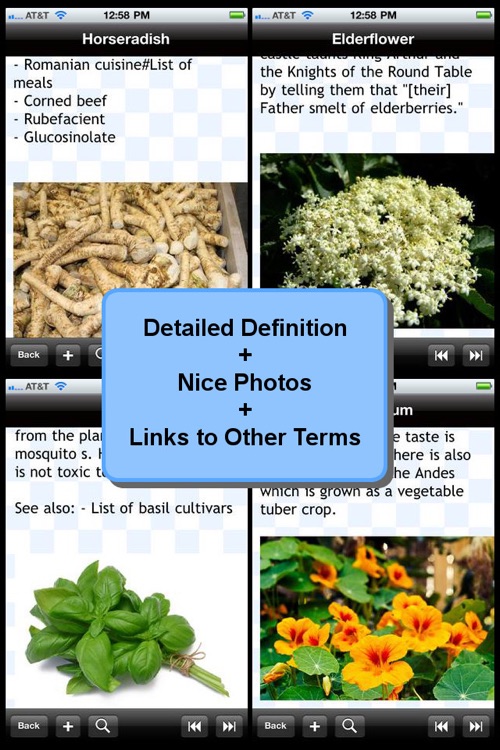 Culinary Herbs & Spices Encyclopedia