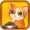 Cats Nutrition Calculator - Kittens and Cat Training Food Health Guide