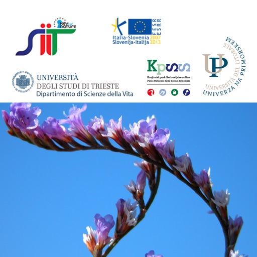 Guida alle piante alofile delle Saline di Sicciole (Pirano, Slovenia)