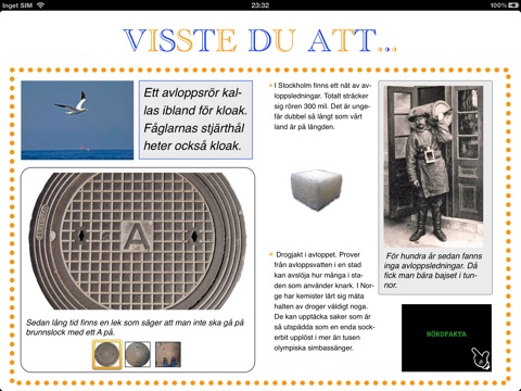 skärmavbild 2