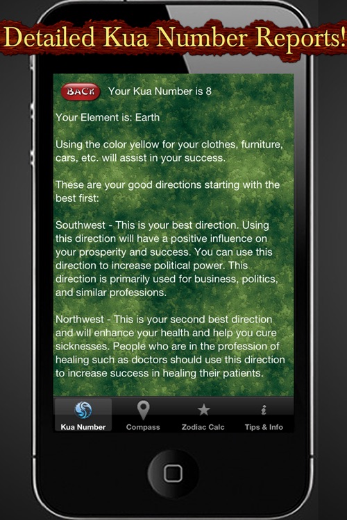 Feng Shui Calc and Compass: Home and Business