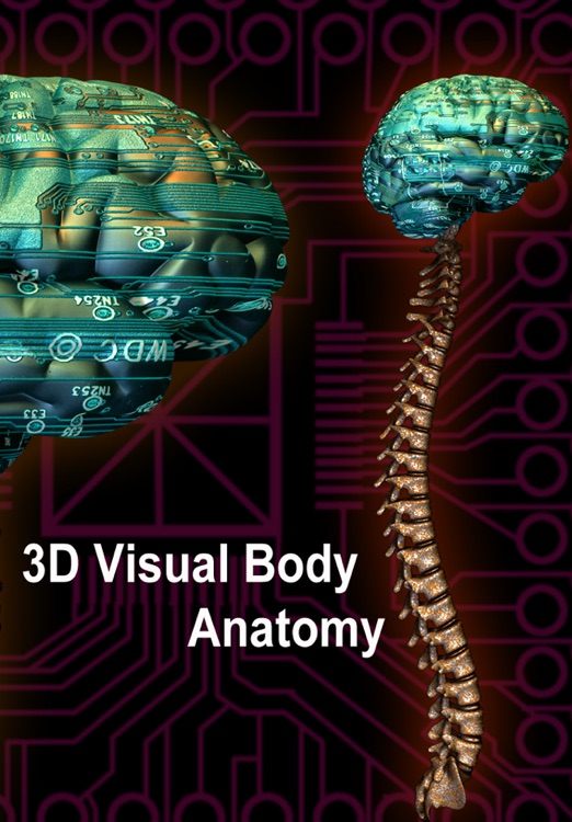 3D Visual Body Anatomy