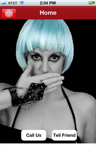 Lady Gaga Tribute Act,Totally Gaga. screenshot 2