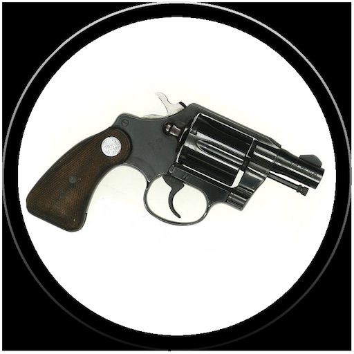 Gun Quiz iOS App