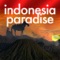 Indonesia is an exotic country that rich and lives by the diversity in terms of culture, ethnicities and language