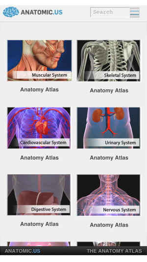 Anatomy Atlas Free(圖2)-速報App