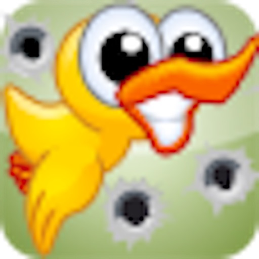 Birds Hunt HD