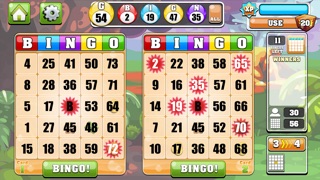 BINGO CASINO!!™ 1.0 IOS CASINO BINGO CASINO!!™ 1.0 IOS