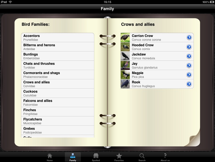 Bird Identifier HD screenshot-4