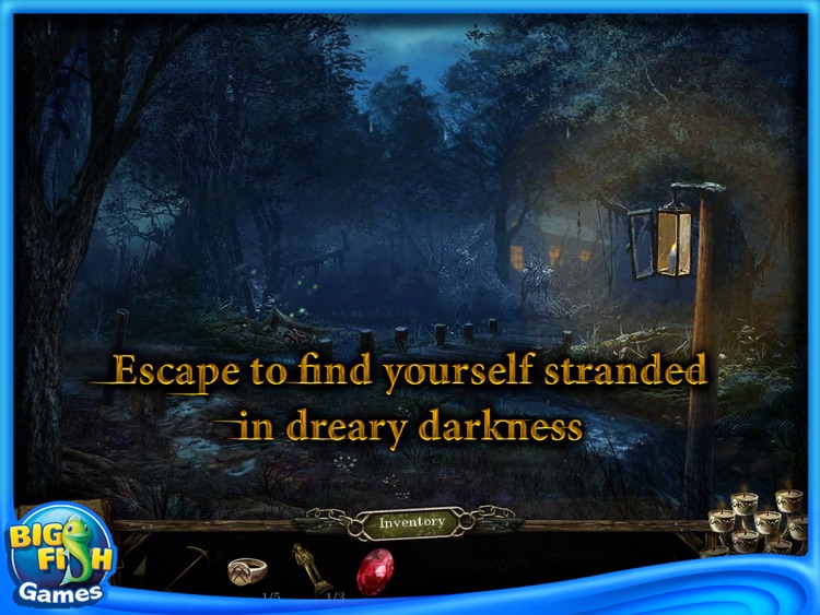 Cursed Memories: Secret of Agony Creek Collector's Edition HD by Big ...