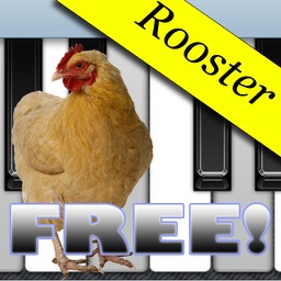 Rooster Piano Free