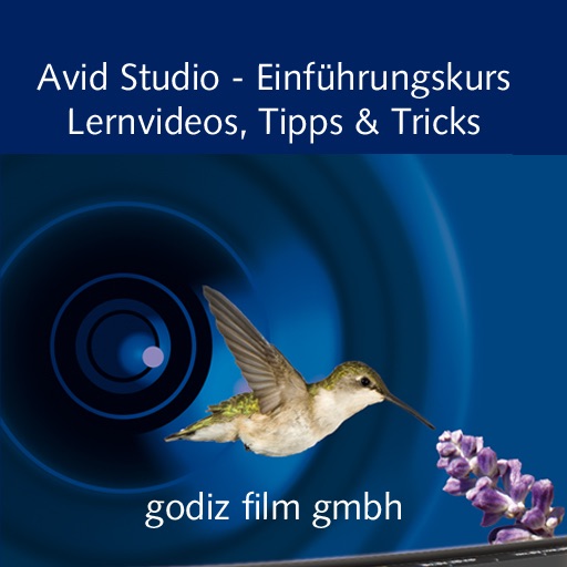 Videotraining für Avid Studio - Free Edition iOS App
