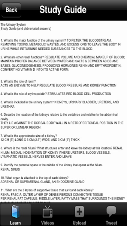 The Urinary System