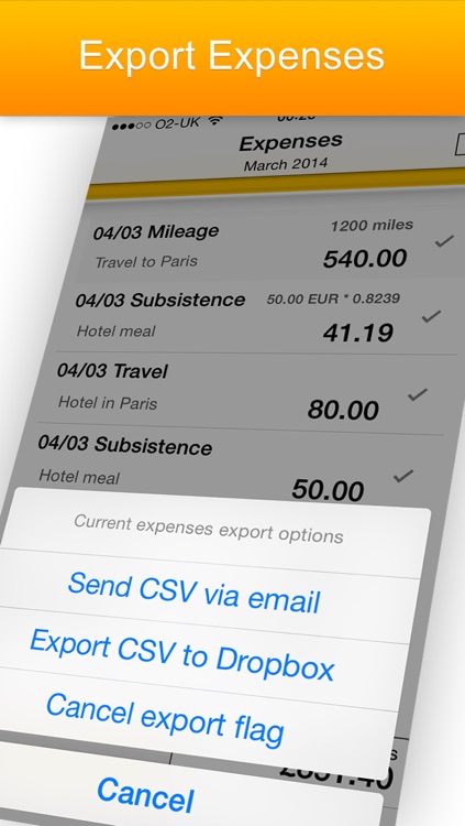 iExpenses - business travel expenses screenshot-3