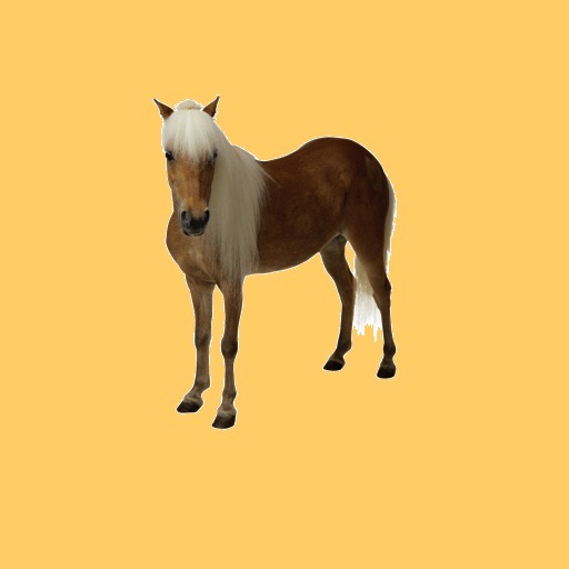 Horsey Facts icon