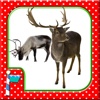 A North Pole Camera for iPhone - Merry Christmas App from Santa