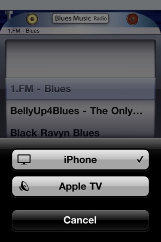 Blues Music Radio screenshot 2