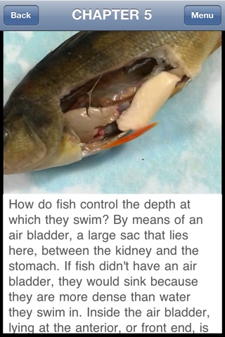 Fish Dissection screenshot 2