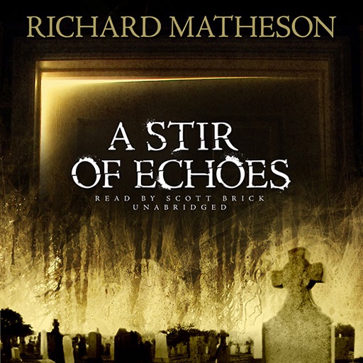 A Stir of Echoes (by Richard Matheson) icon