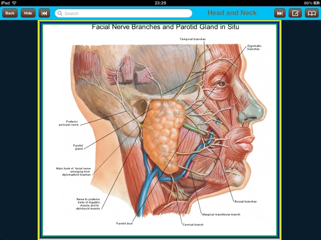 Atlas of Anatomy for iPad(圖2)-速報App