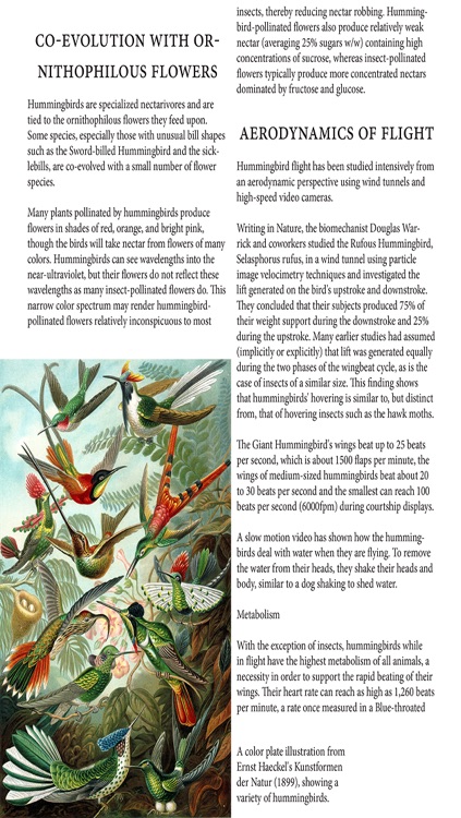 Birds Magazine screenshot-3