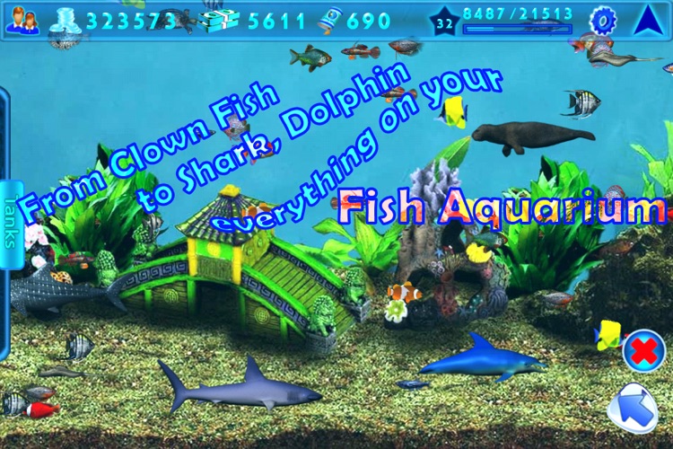 Fish Aquarium screenshot-3