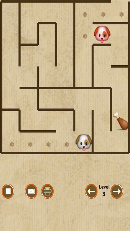 Dog Maze Race