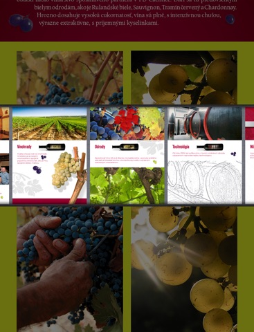 Víno Mrva&Stanko pre iPad screenshot 3