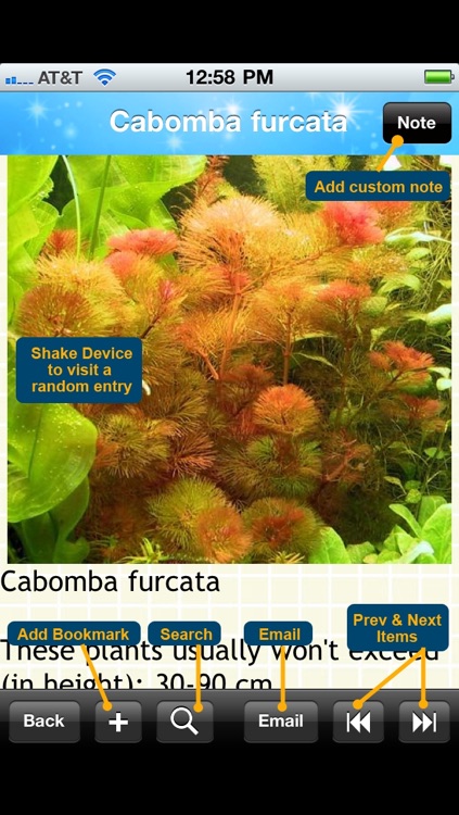 Aquarium Plants Encyclopedia screenshot-4